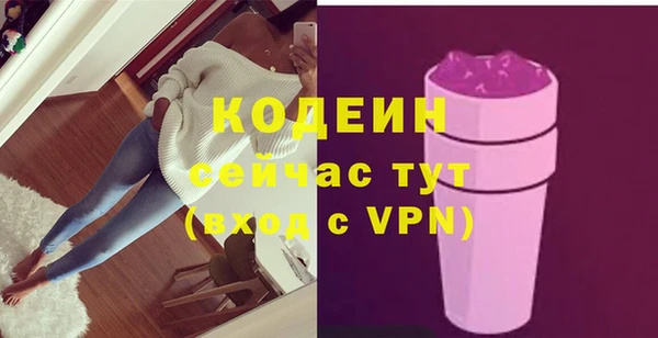 молекула духа Семилуки