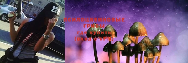 сатива Алзамай