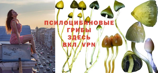дмт Семикаракорск